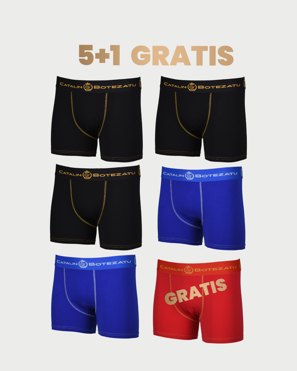 BOXERI BARBATI ALBASTRI DE SALA